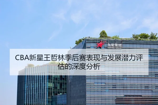 CBA新星王哲林季后赛表现与发展潜力评估的深度分析